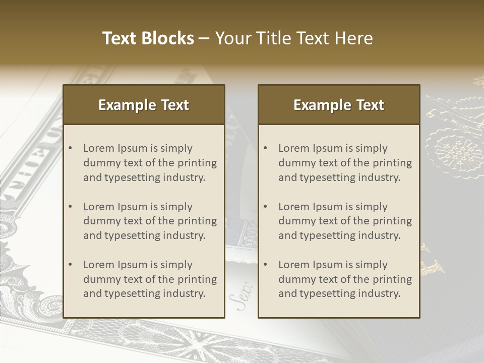 Permit Immigration Visit PowerPoint Template