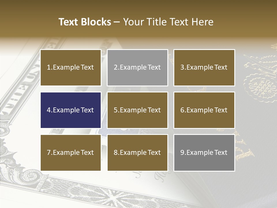 Permit Immigration Visit PowerPoint Template