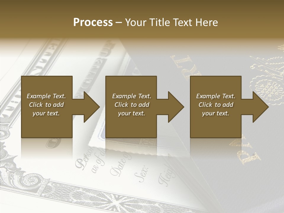 Permit Immigration Visit PowerPoint Template