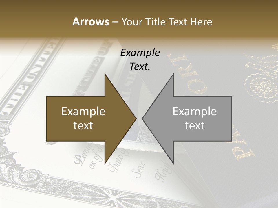 Permit Immigration Visit PowerPoint Template