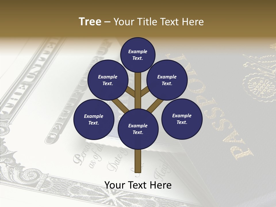Permit Immigration Visit PowerPoint Template