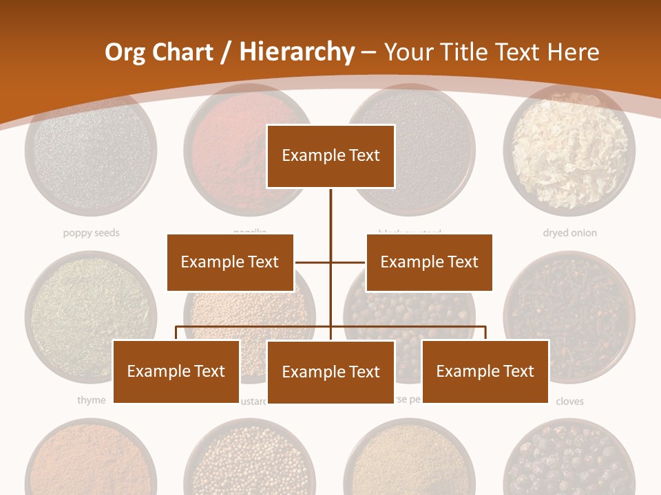 Gourmet Recipe Coriander PowerPoint Template