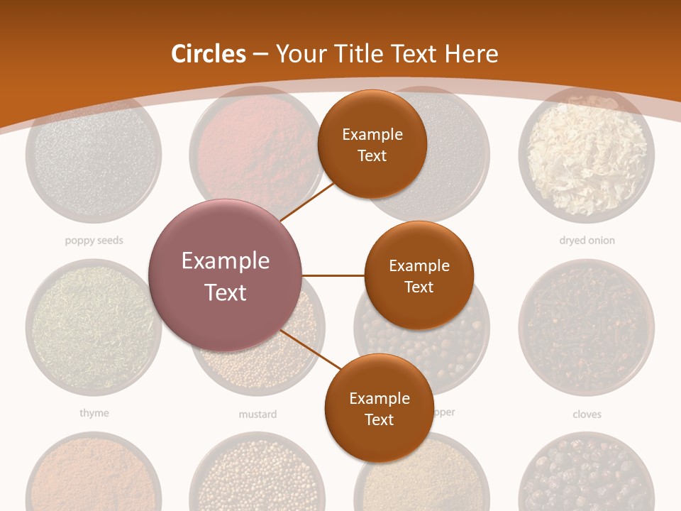 Gourmet Recipe Coriander PowerPoint Template