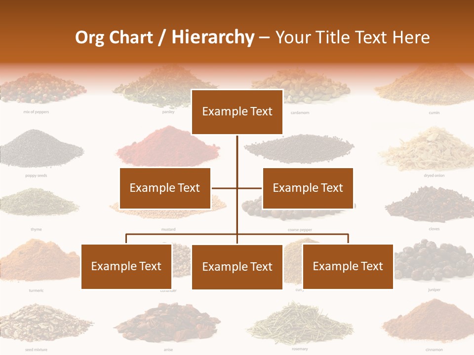Pepper Onion Cumin PowerPoint Template