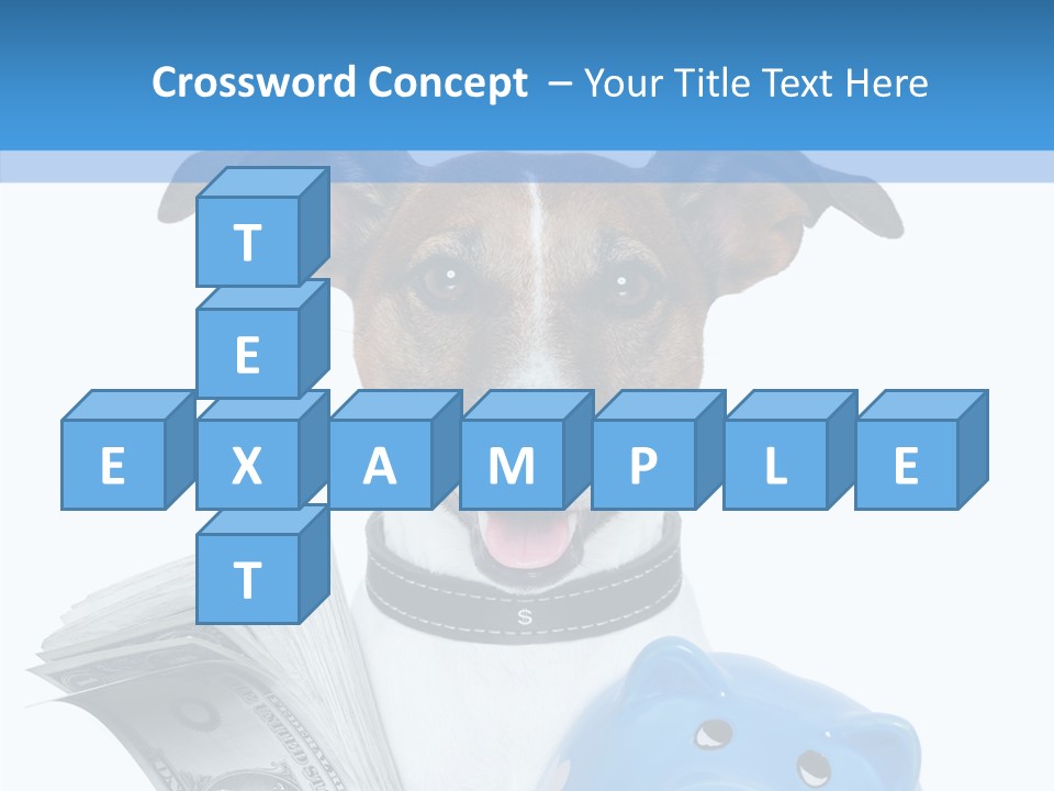 Financial Credit Lottery PowerPoint Template