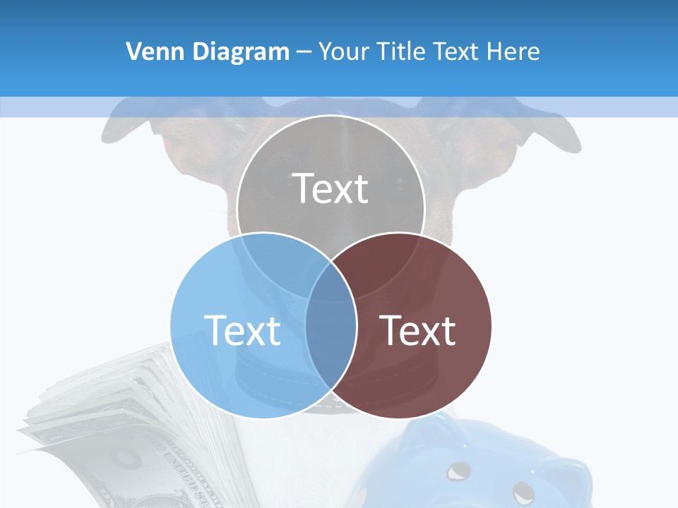 Financial Credit Lottery PowerPoint Template