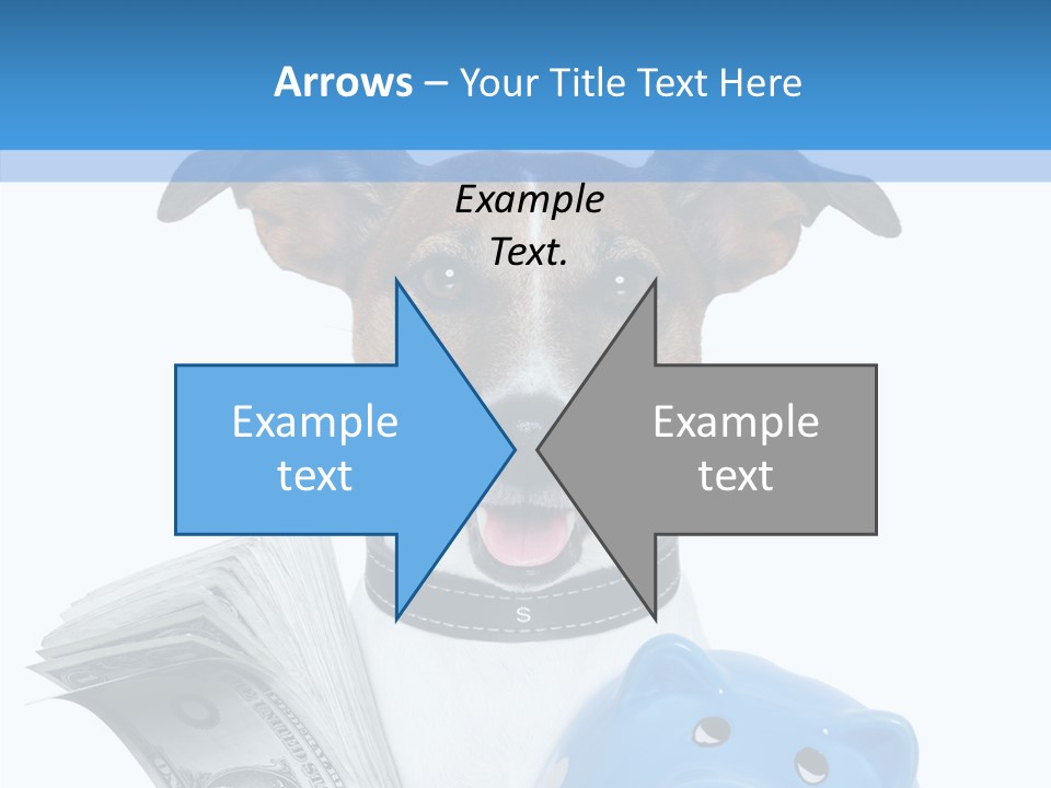 Financial Credit Lottery PowerPoint Template