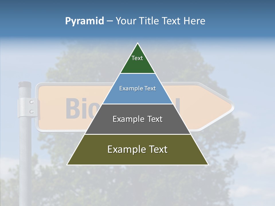 Money Commercial Energy PowerPoint Template