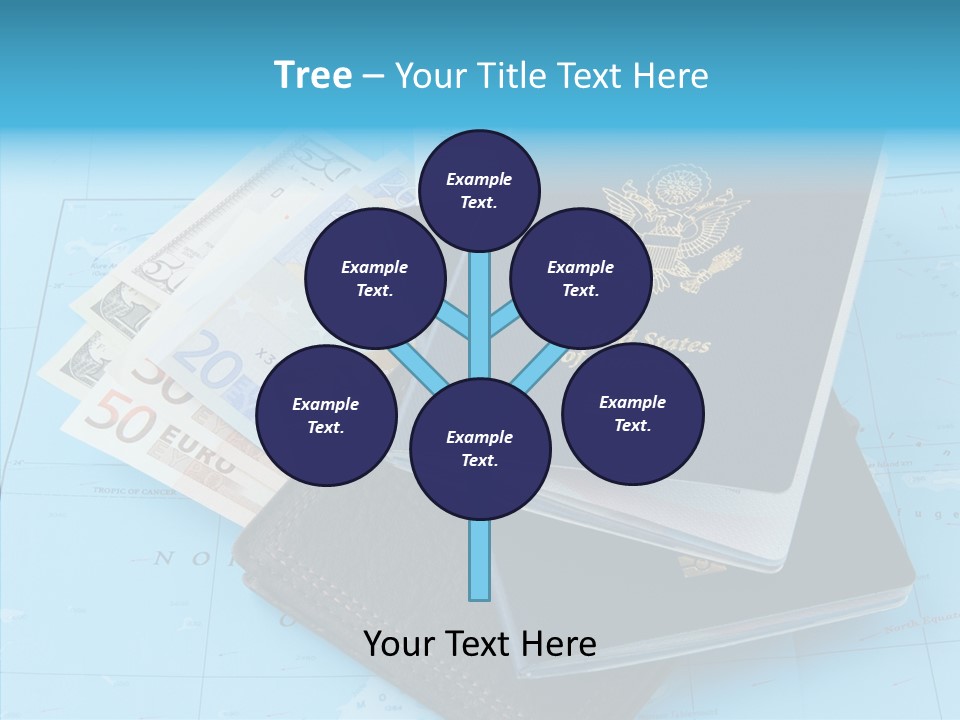 Cash Finance Credit PowerPoint Template