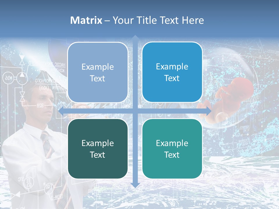 Designing Embryo Star PowerPoint Template