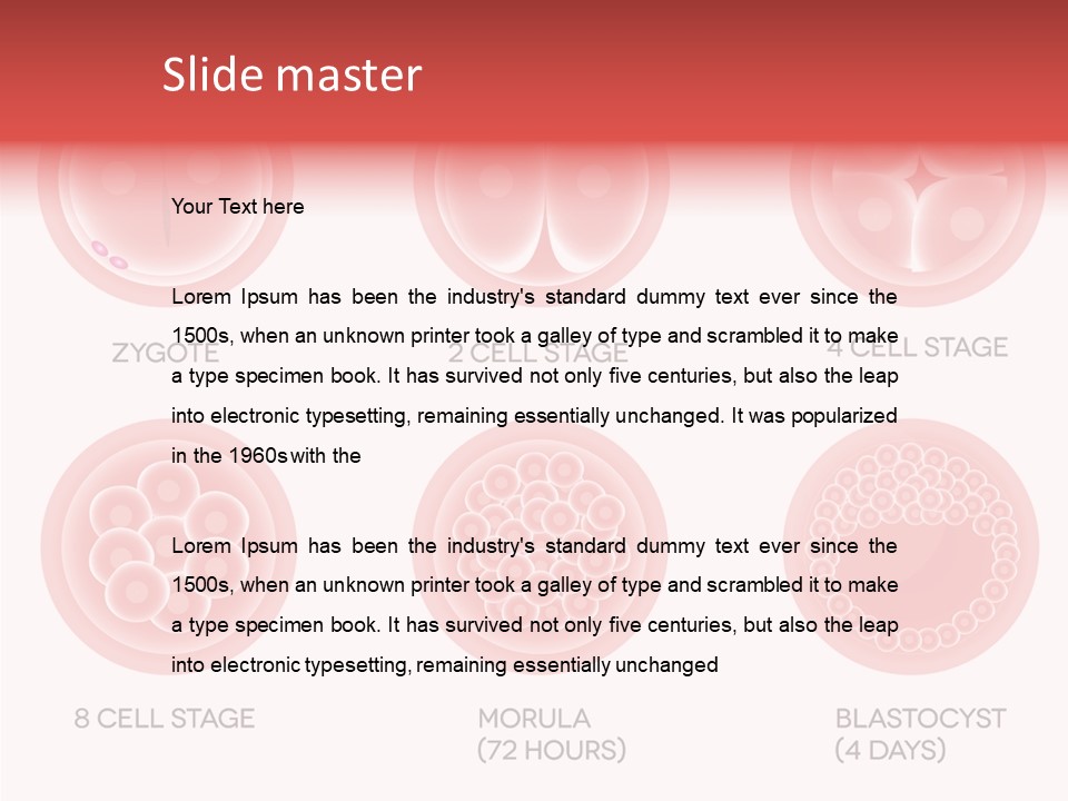 Embryo Health Embryology PowerPoint Template