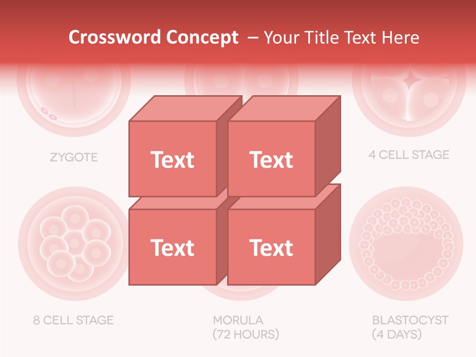 Embryo Health Embryology PowerPoint Template