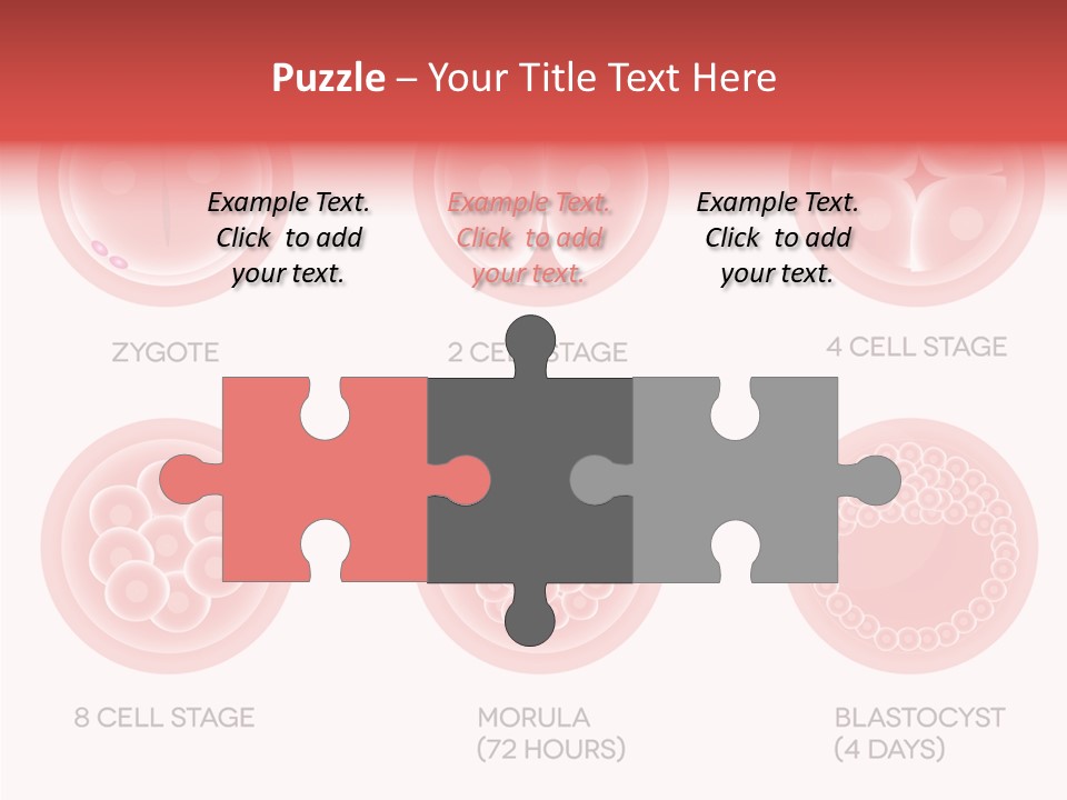 Embryo Health Embryology PowerPoint Template