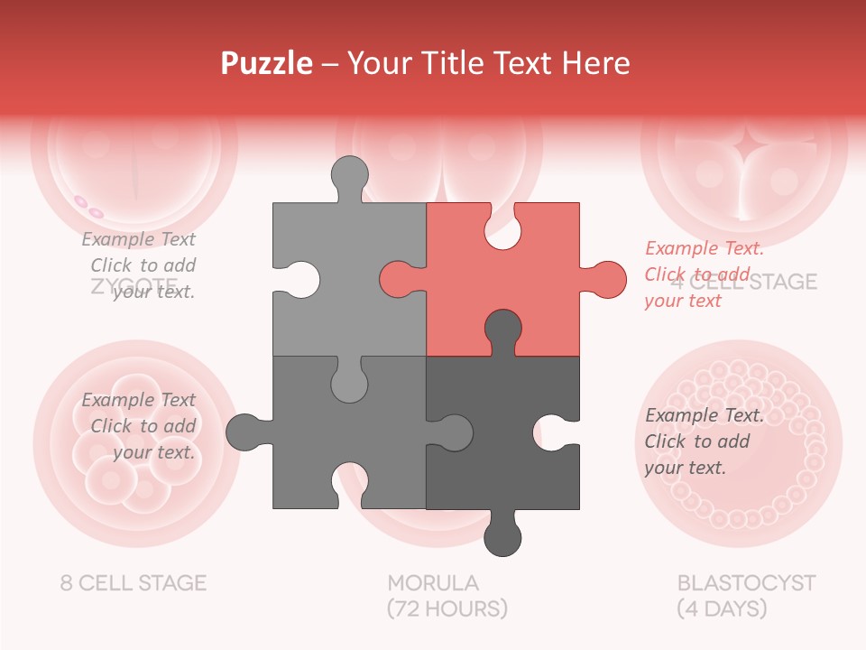 Embryo Health Embryology PowerPoint Template