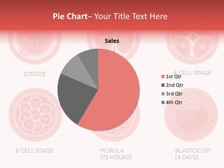 Embryo Health Embryology PowerPoint Template