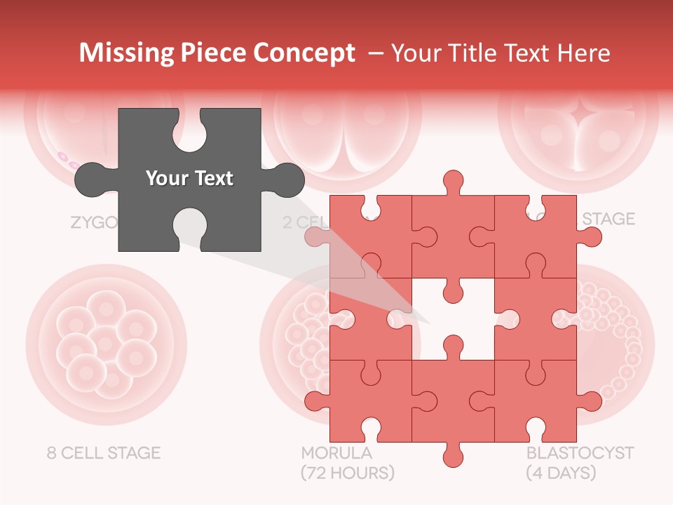 Embryo Health Embryology PowerPoint Template