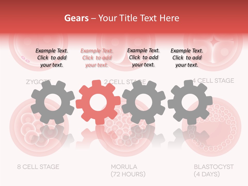 Embryo Health Embryology PowerPoint Template