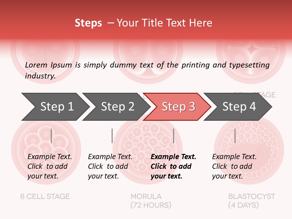 Embryo Health Embryology PowerPoint Template