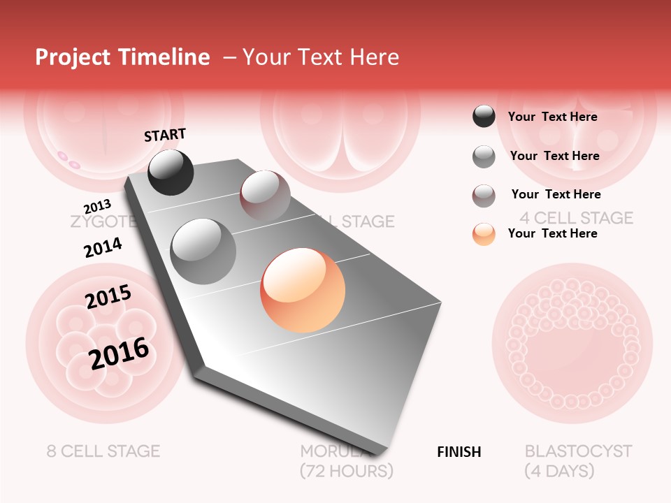Embryo Health Embryology PowerPoint Template