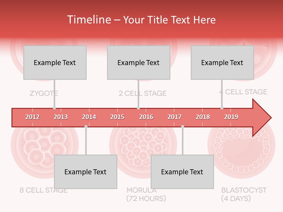 Embryo Health Embryology PowerPoint Template
