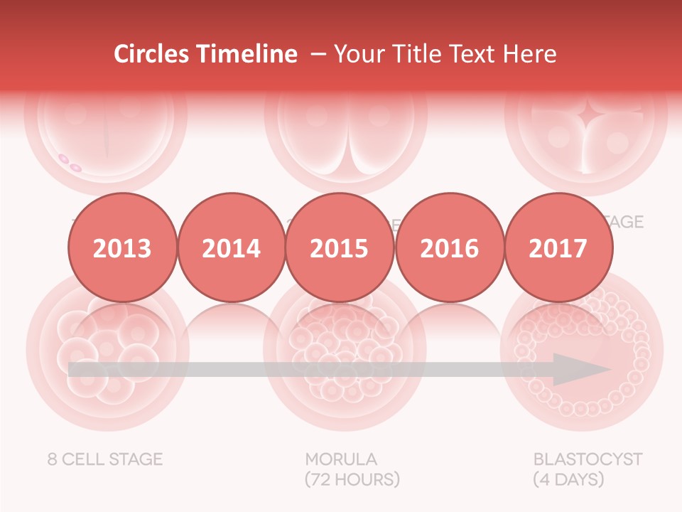 Embryo Health Embryology PowerPoint Template