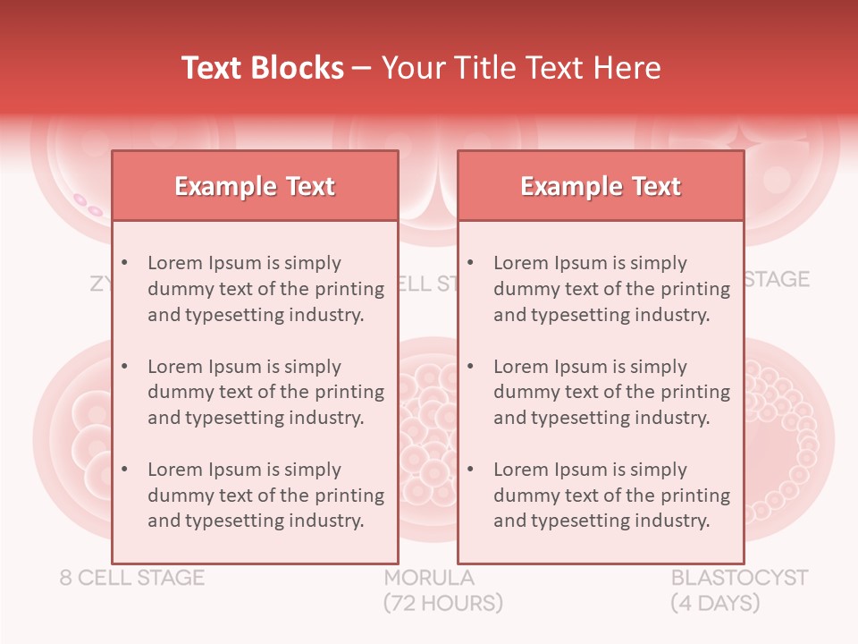 Embryo Health Embryology PowerPoint Template