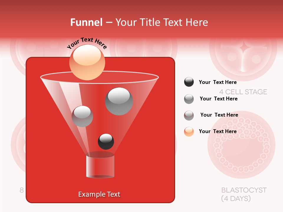 Embryo Health Embryology PowerPoint Template