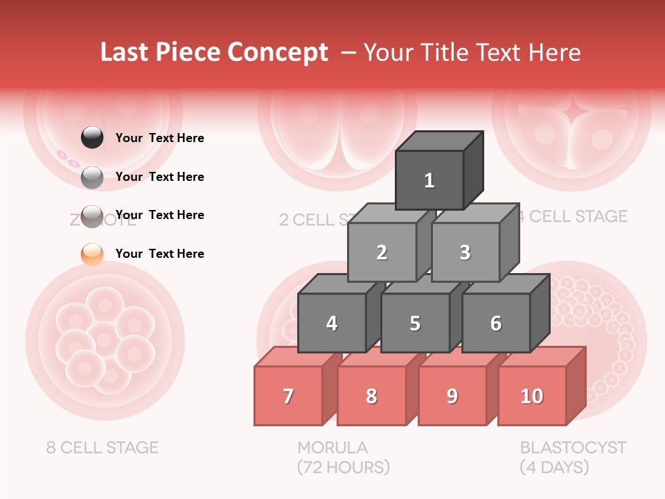 Embryo Health Embryology PowerPoint Template