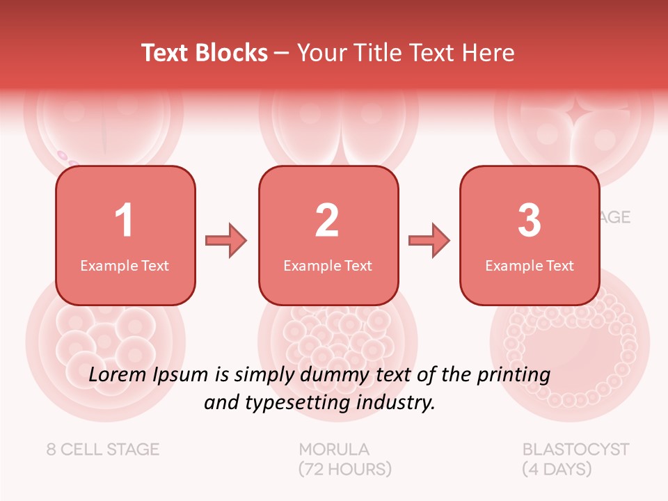 Embryo Health Embryology PowerPoint Template