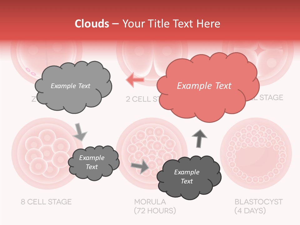 Embryo Health Embryology PowerPoint Template