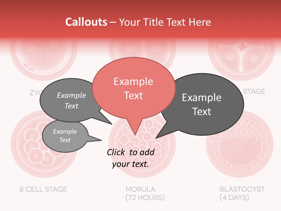 Embryo Health Embryology PowerPoint Template