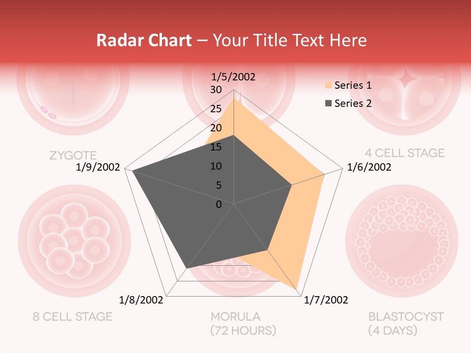 Embryo Health Embryology PowerPoint Template