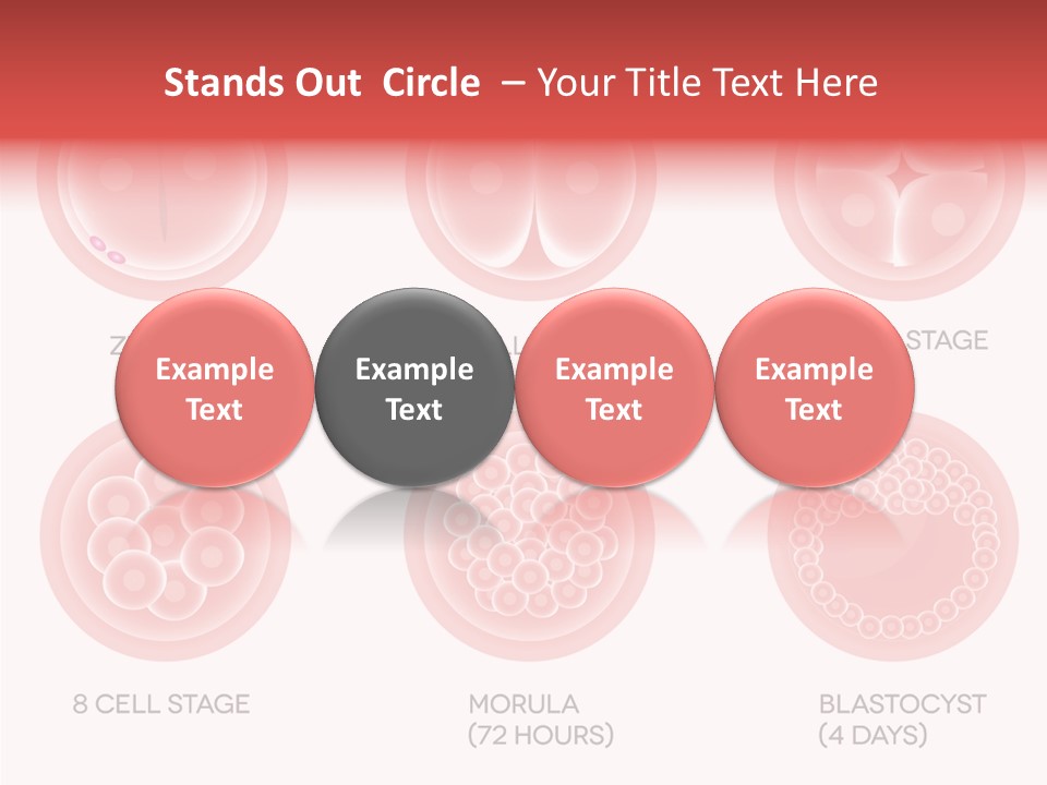 Embryo Health Embryology PowerPoint Template