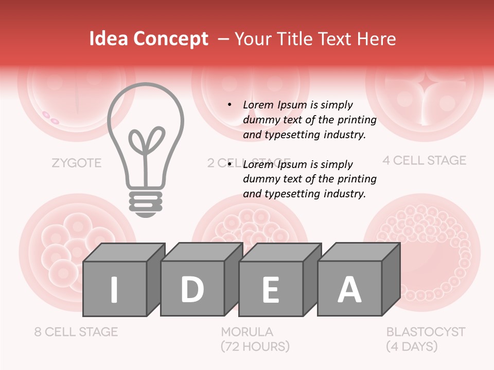 Embryo Health Embryology PowerPoint Template