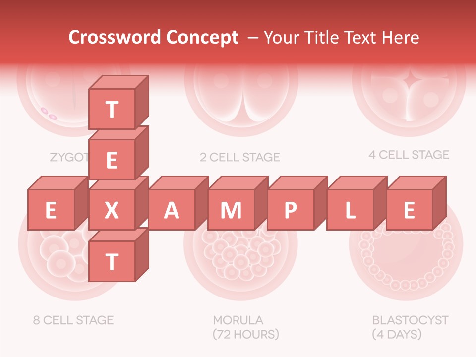 Embryo Health Embryology PowerPoint Template