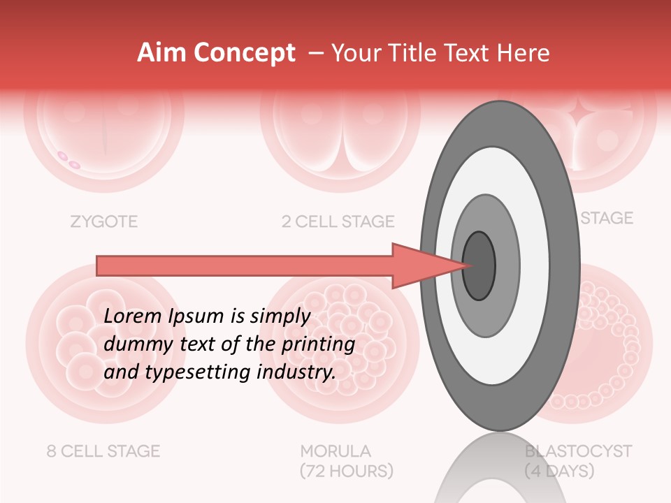 Embryo Health Embryology PowerPoint Template