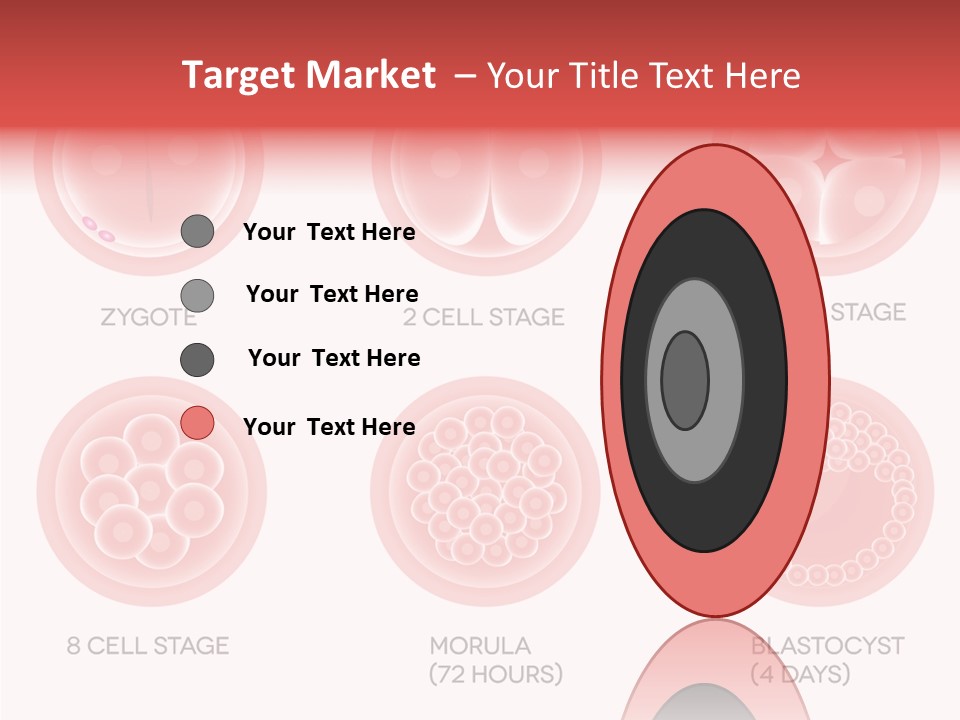 Embryo Health Embryology PowerPoint Template