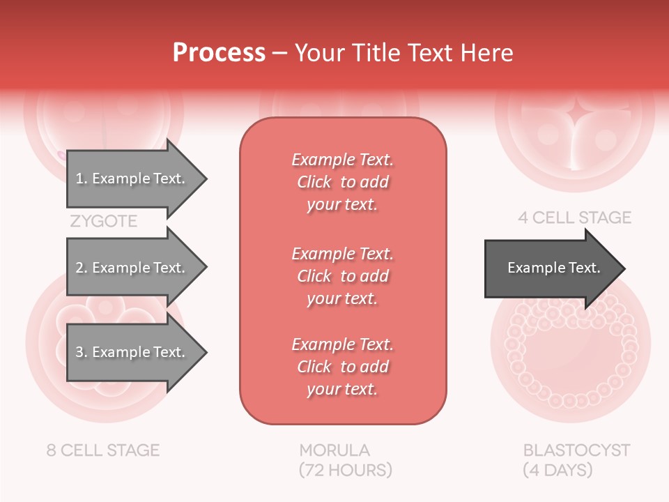 Embryo Health Embryology PowerPoint Template
