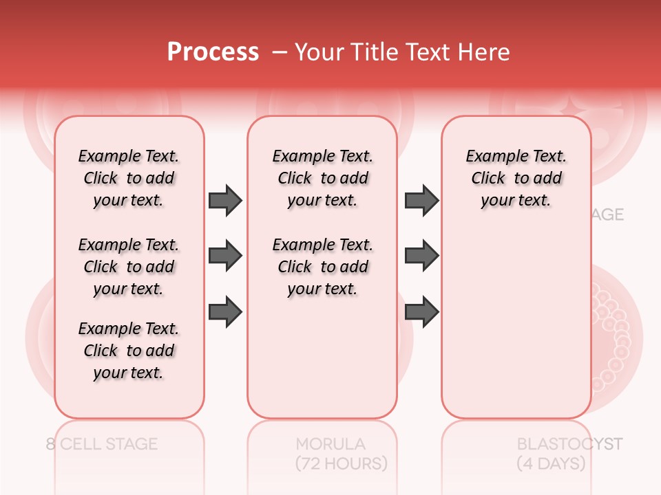 Embryo Health Embryology PowerPoint Template