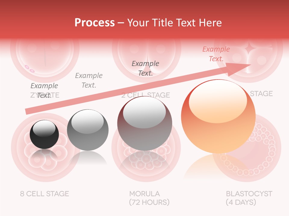 Embryo Health Embryology PowerPoint Template