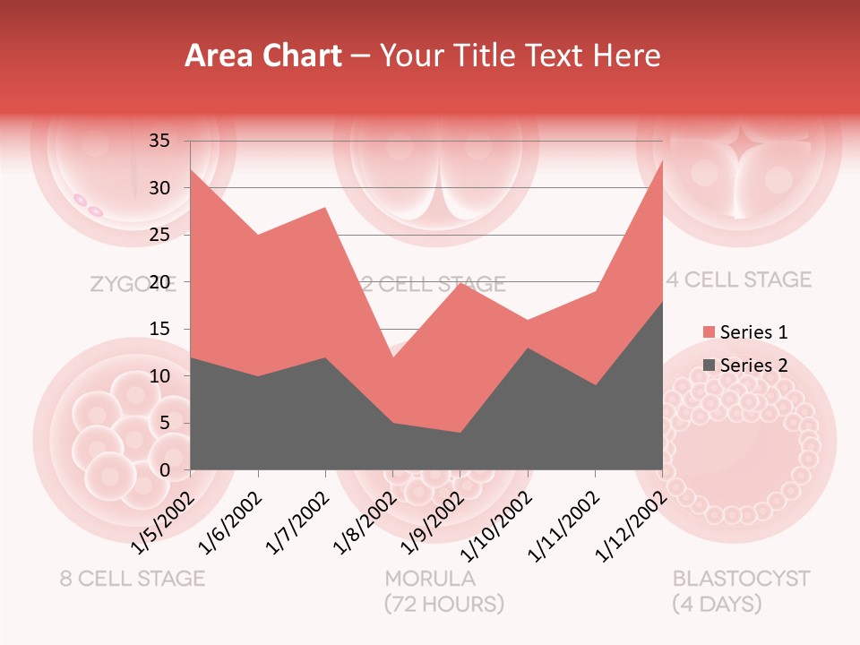 Embryo Health Embryology PowerPoint Template