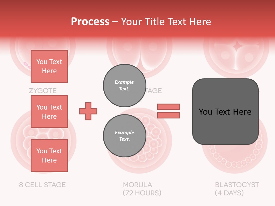 Embryo Health Embryology PowerPoint Template