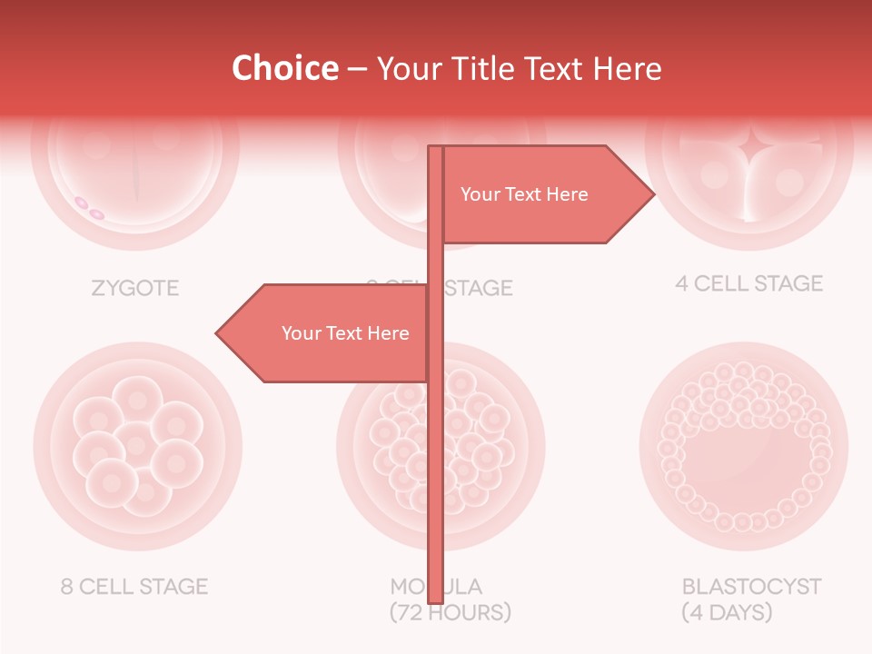 Embryo Health Embryology PowerPoint Template