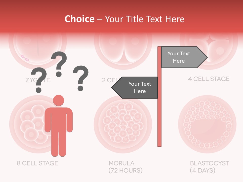 Embryo Health Embryology PowerPoint Template