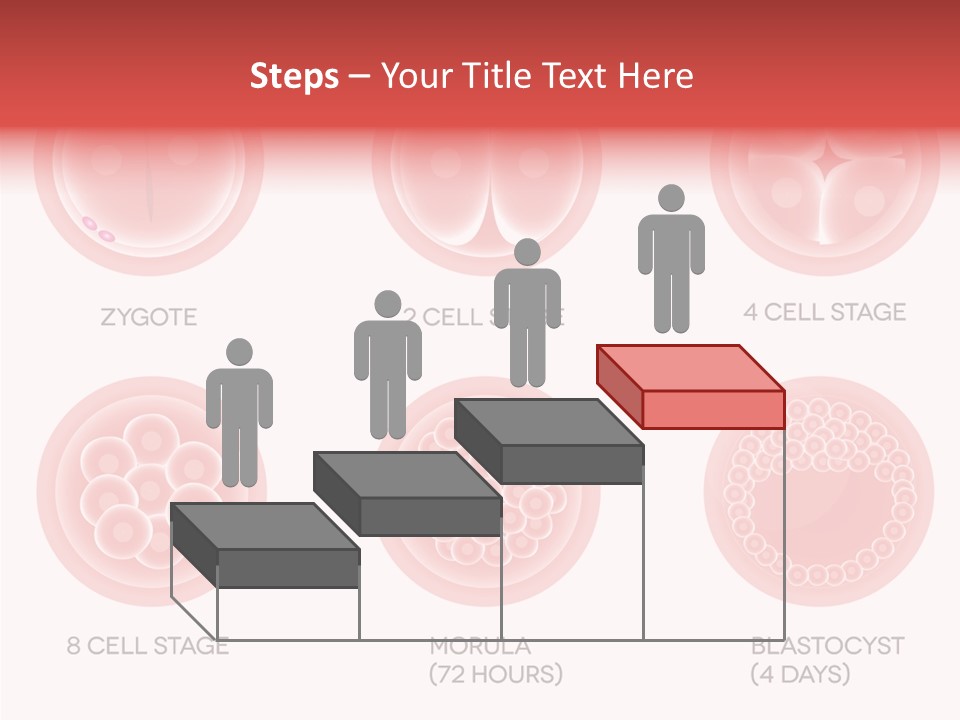 Embryo Health Embryology PowerPoint Template