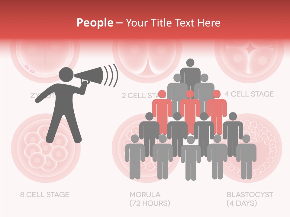 Embryo Health Embryology PowerPoint Template