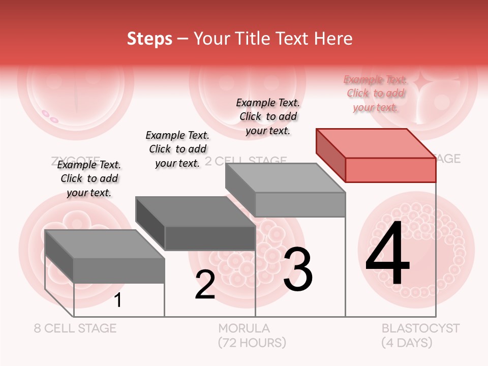 Embryo Health Embryology PowerPoint Template