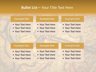 Antiquity Business Search PowerPoint Template