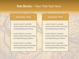 Antiquity Business Search PowerPoint Template