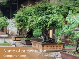 Garden Technique Japanese PowerPoint Template